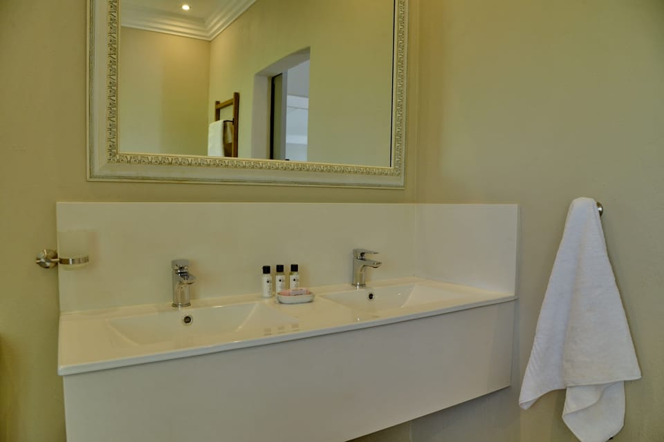 Deluxe Room (Deluxe Suite) | Bathroom | Free toiletries, hair dryer, towels, soap