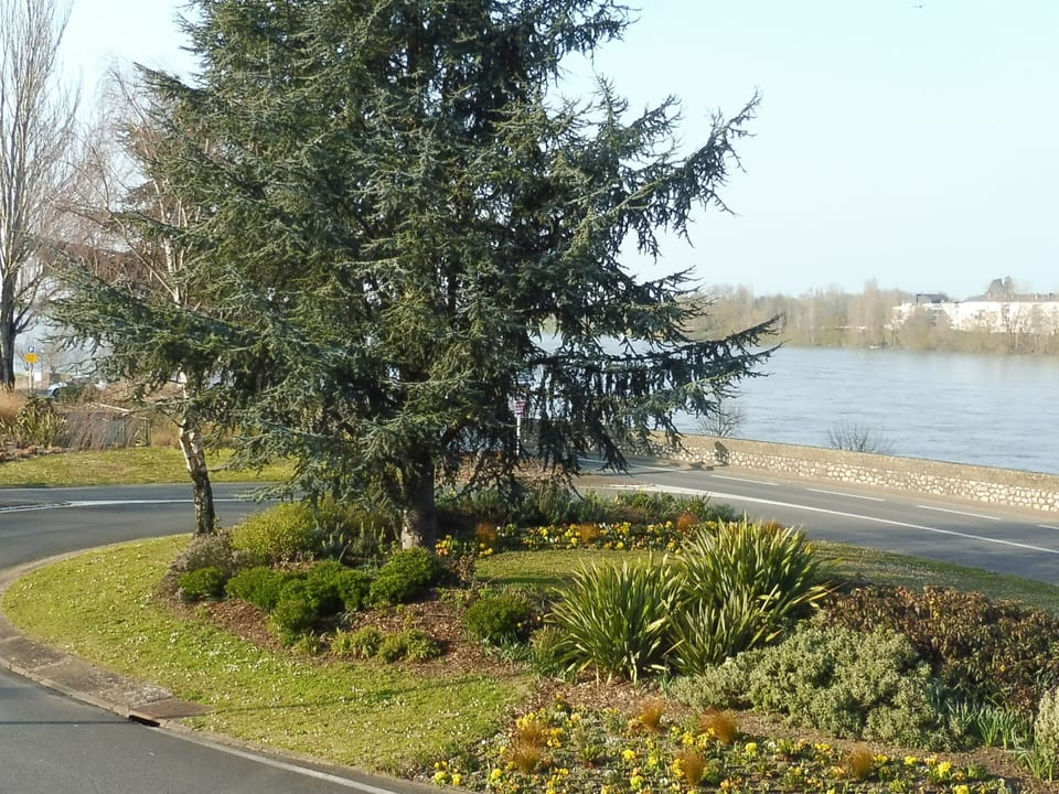 Rive Gauche Hotel in Saumur