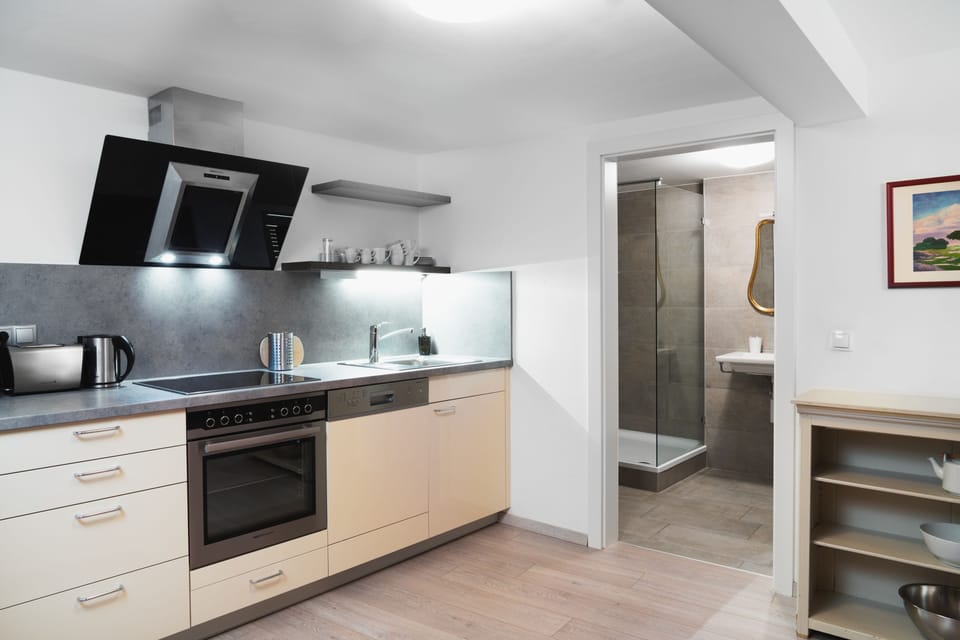 Studio (No View) | Private kitchen | Fridge, oven, stovetop, dishwasher