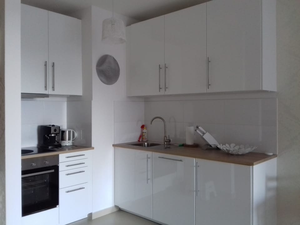 Apartment, 1 Bedroom, Park View | Private kitchen | Fridge, oven, stovetop, dishwasher