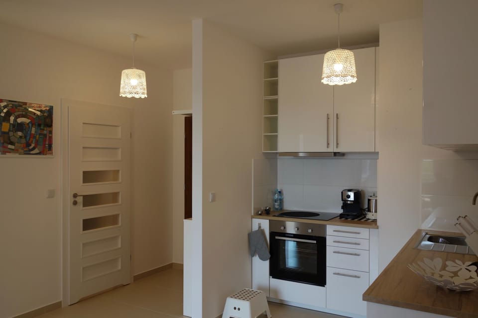 Apartment, 1 Bedroom, Park View | Private kitchenette | Fridge, oven, stovetop, dishwasher