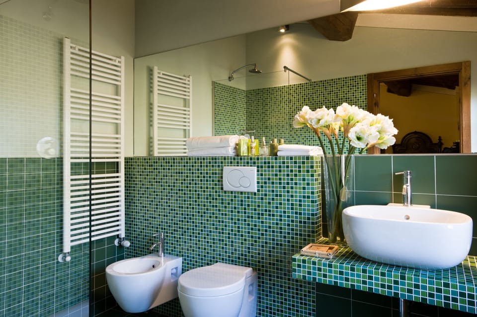 Shower, free toiletries, hair dryer, bidet