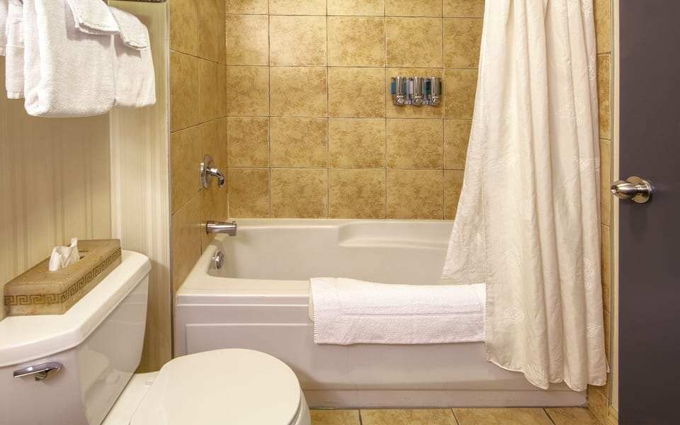 Kitchenette Room with Queen Bed and Sofa Bed | Bathroom | Combined shower/tub, hair dryer, towels