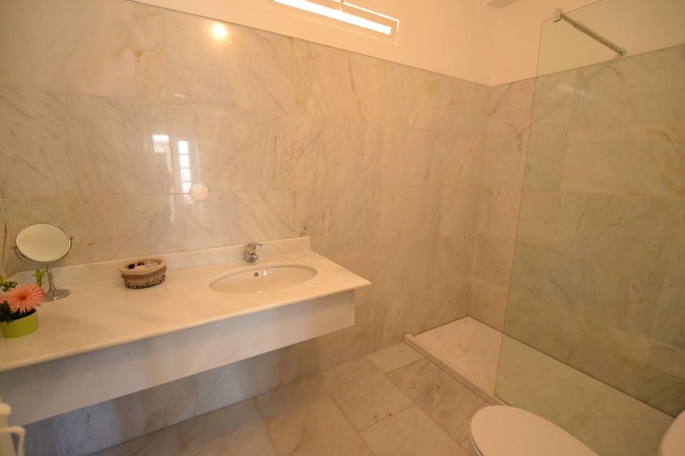 Double Room | Bathroom | Shower, hair dryer, towels