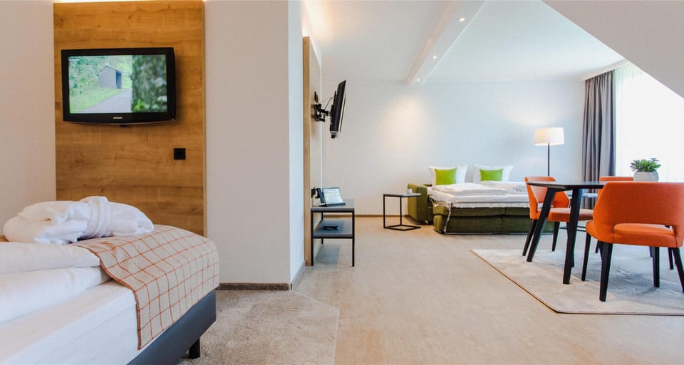 Standard Studio, 1 Double Bed (Larger Room;with Sofabed) | In-room safe, individually furnished, blackout drapes, cribs/infant beds
