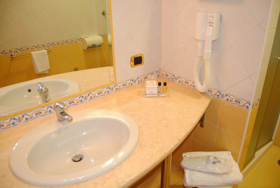 Rainfall showerhead, free toiletries, hair dryer, bidet