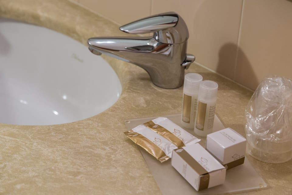Shower, free toiletries, hair dryer, bidet