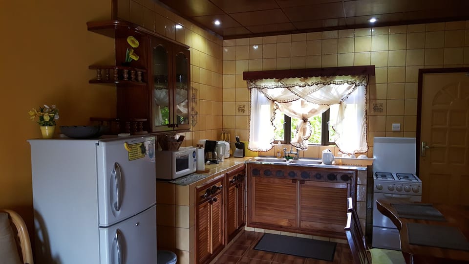 Standard Double Room, 1 King Bed | Private kitchen | Full-size fridge, microwave, oven, stovetop