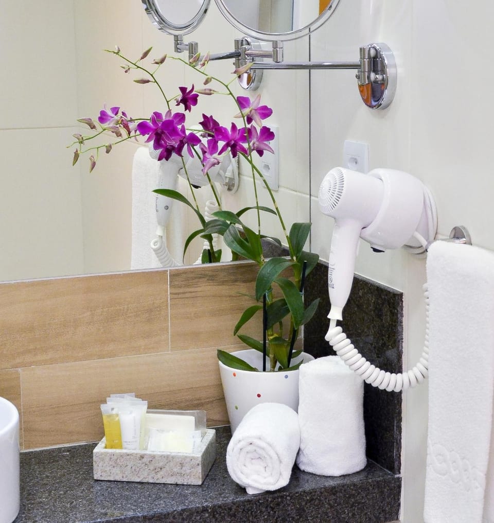 Hair dryer, bidet, towels, soap