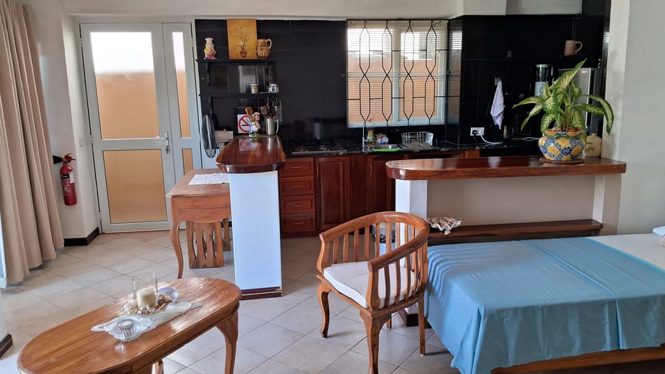 Panoramic Apartment, 1 Bedroom, Kitchen, Ocean View | Private kitchen