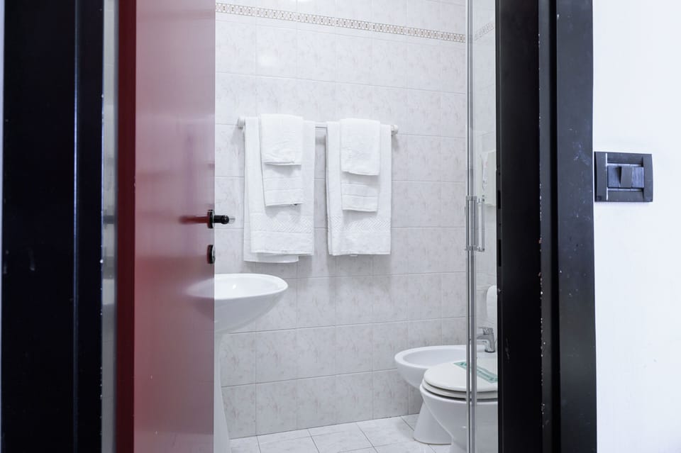 Standard Double Room | Bathroom | Shower, free toiletries, hair dryer, towels