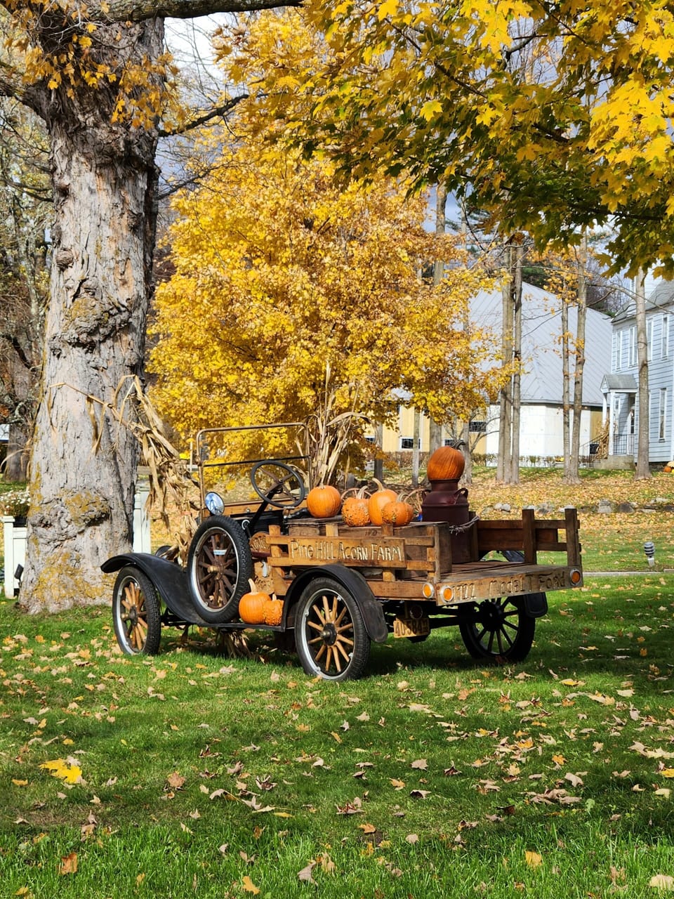 Pamelas Suite | View from room