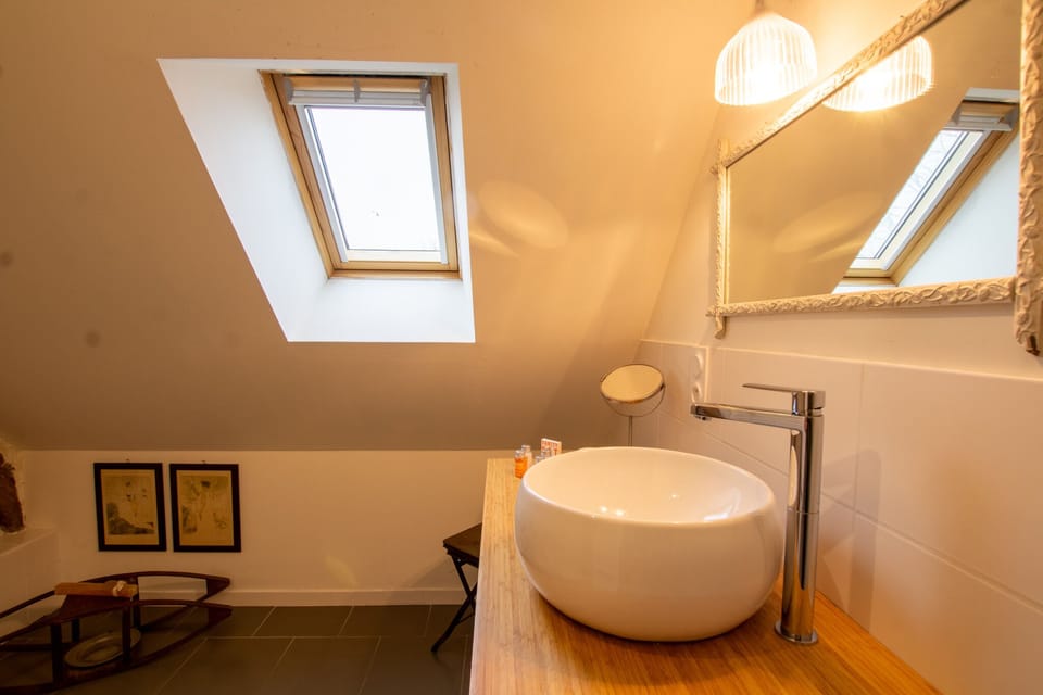 Deluxe Suite | Bathroom | Shower, free toiletries, hair dryer, towels
