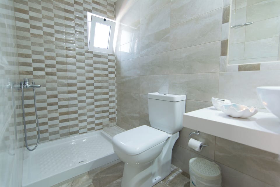 Shower, hair dryer