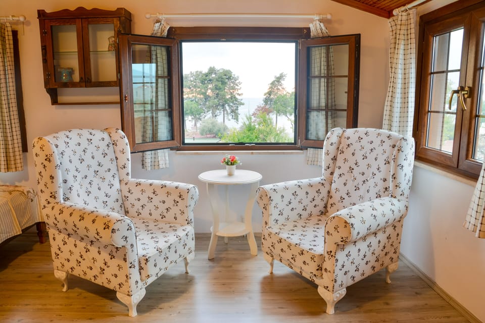 Suite, Lake View | Living room | LED TV, toys