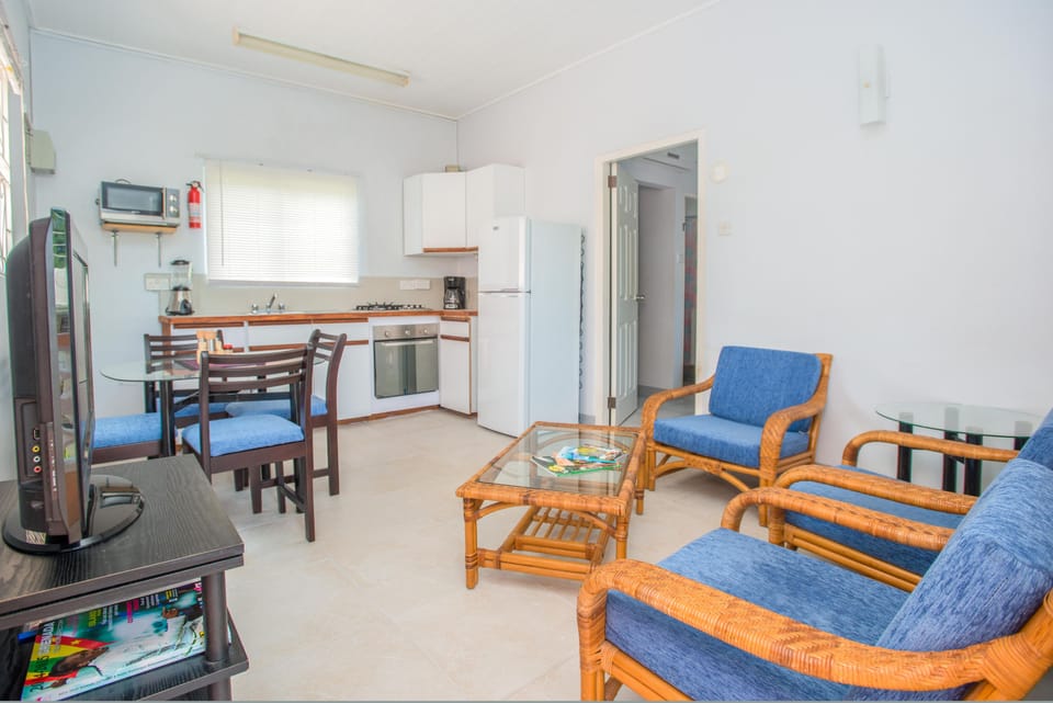 Standard Apartment, 1 Bedroom, Kitchen | Living area | Flat-screen TV