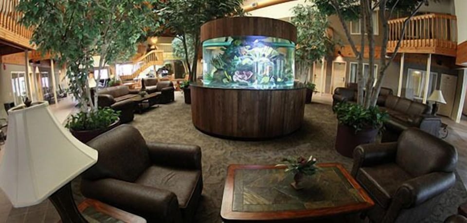 C'mon Inn Thief River Falls Hotel in Minnesota