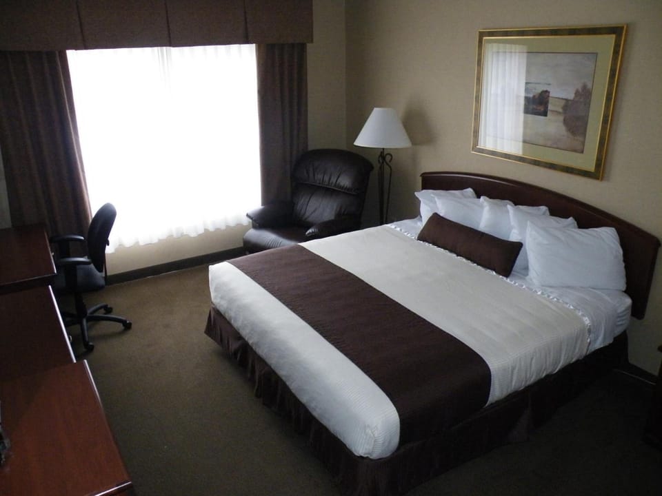 Standard Room, 1 King Bed | In-room safe, desk, iron/ironing board, free WiFi