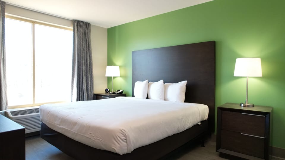 Deluxe Room, 1 King Bed, Non Smoking | Blackout drapes, iron/ironing board, free WiFi, bed sheets