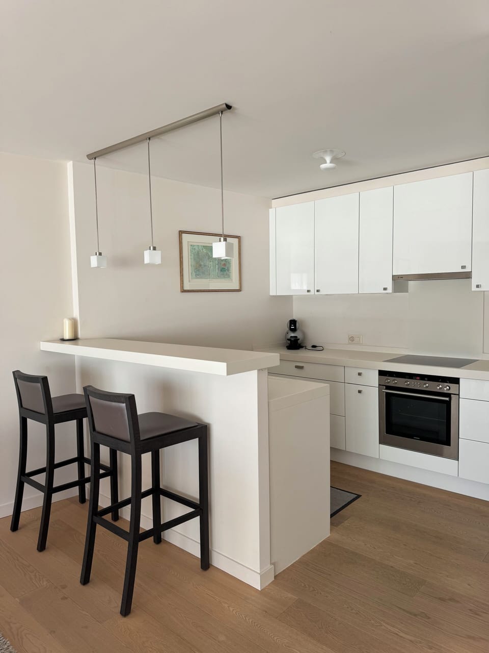 Classic Apartment, 2 Bedrooms, Balcony | Private kitchen