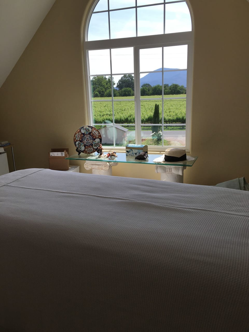 Aromatherapy, deep-tissue massages, Swedish massages, prenatal massages