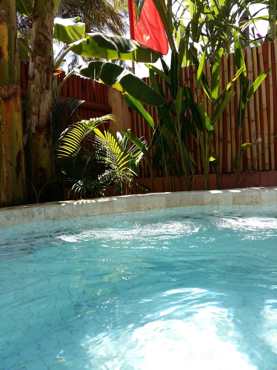 Indoor pool, pool umbrellas, sun loungers