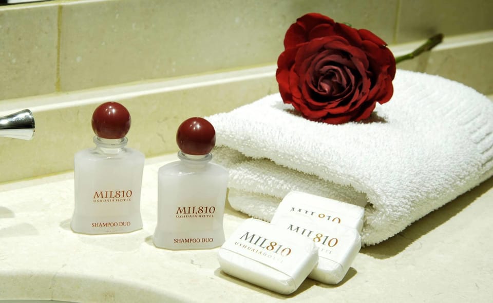 Combined shower/tub, deep soaking tub, free toiletries, hair dryer