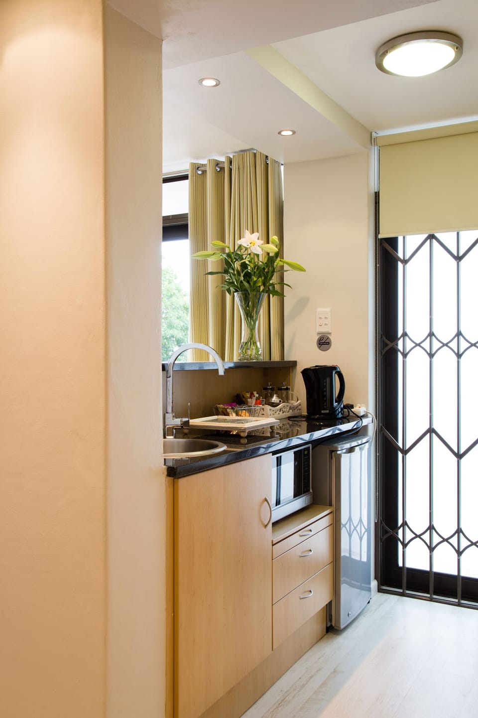 Fridge, electric kettle