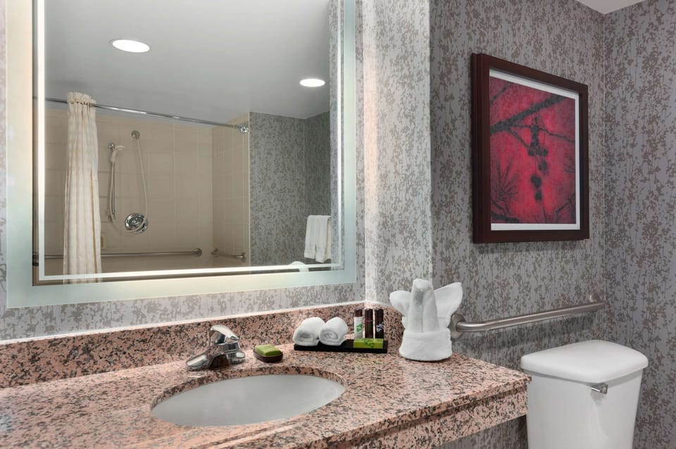Suite, 1 King Bed with Sofa bed, Accessible (Roll-In Shower) | Bathroom shower