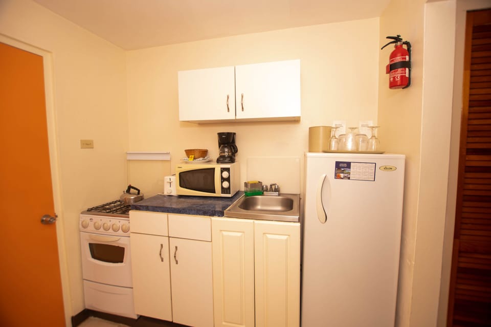 Fridge, coffee/tea maker, electric kettle