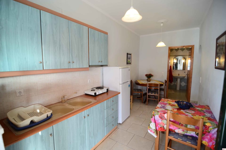 Fridge, stovetop, cookware/dishes/utensils