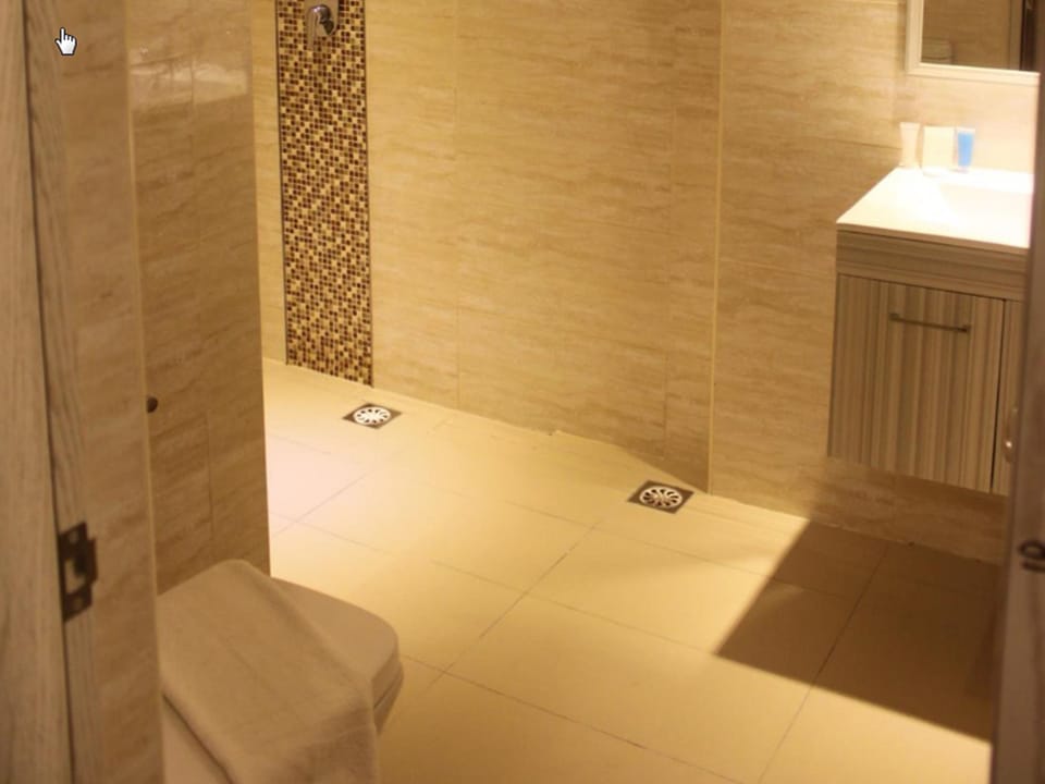 Shower, free toiletries, hair dryer, bidet