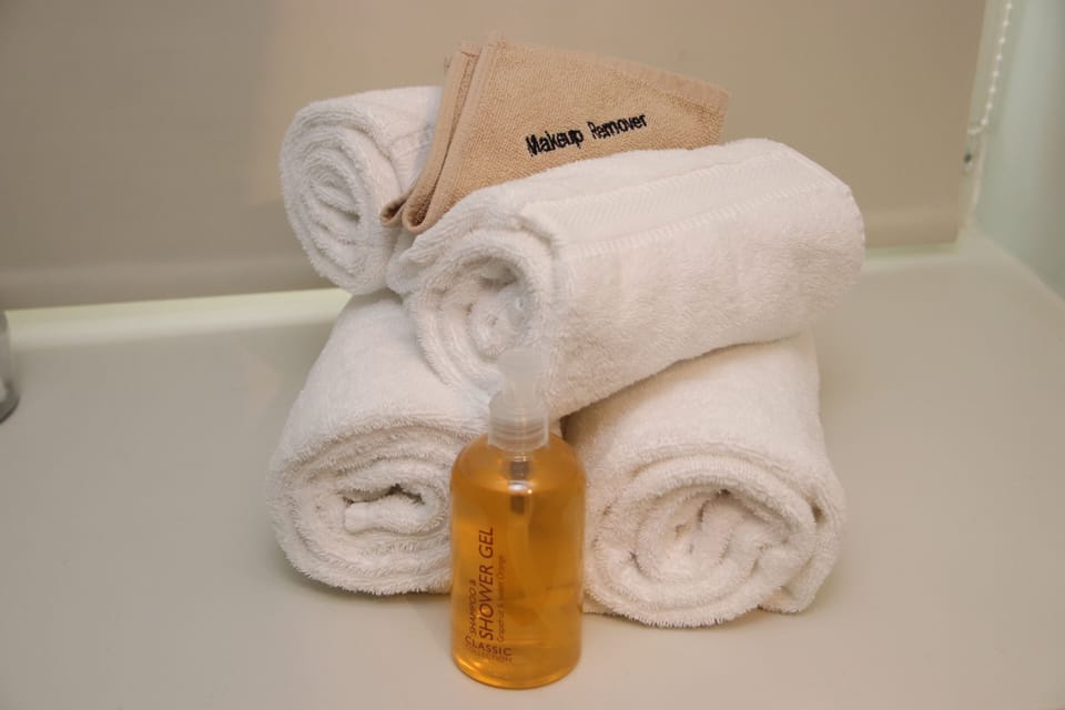 Shower, free toiletries, hair dryer, towels