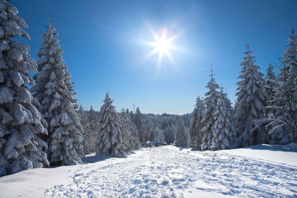 Snow and ski sports
