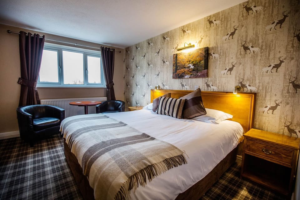 Premium bedding, iron/ironing board (on request), WiFi (free)