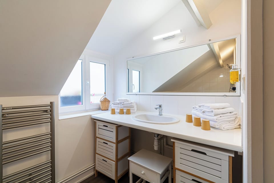 Premium Room | Bathroom | Free toiletries, hair dryer, towels, soap