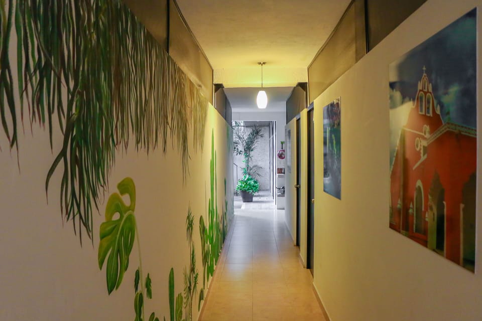 Hostal Gayser - Hostel Hostel in State of Quintana Roo