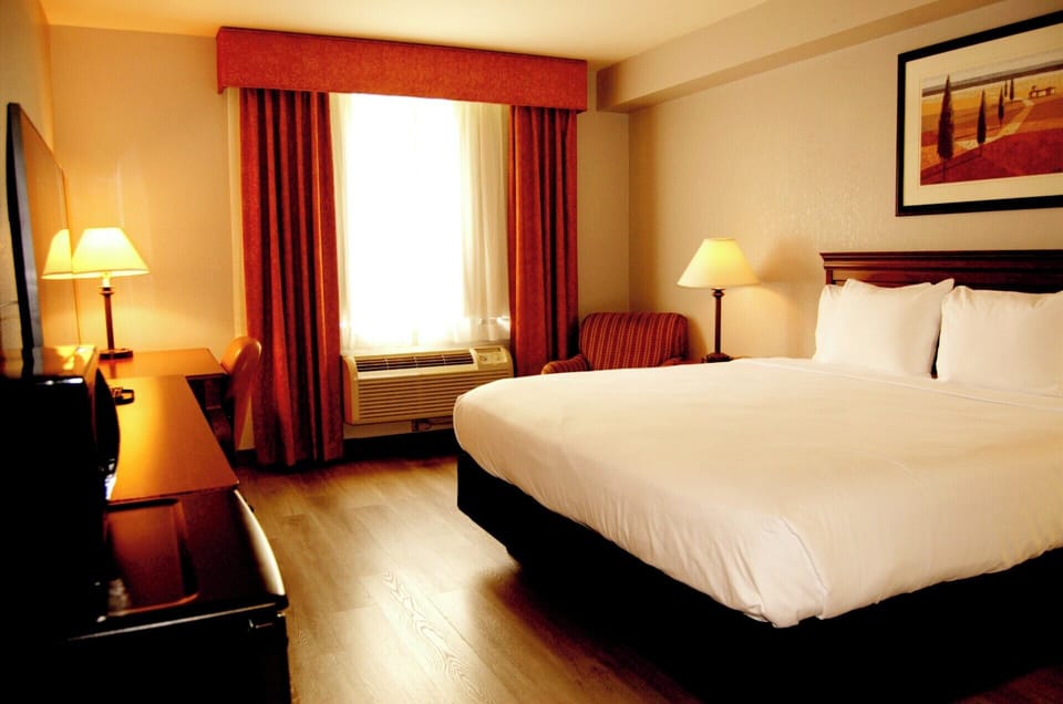 Standard Room, 1 King Bed | Hypo-allergenic bedding, desk, laptop workspace, blackout drapes