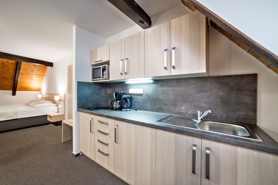 Premium Apartment, 2 Bedrooms, Kitchen | Private kitchen