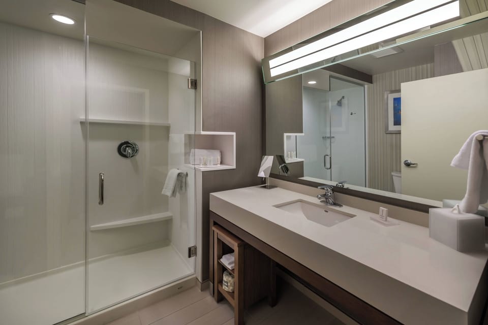 Shower, designer toiletries, hair dryer, towels
