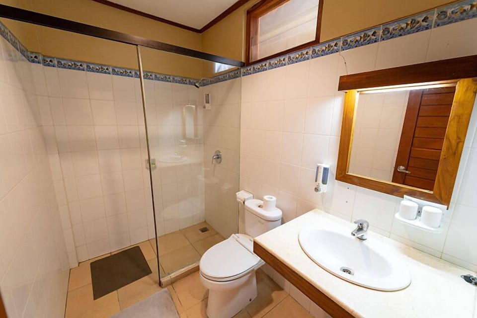 Shower, free toiletries, towels