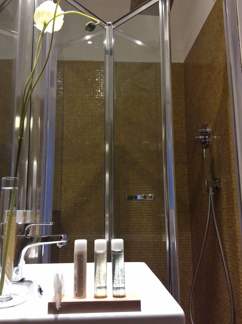 Exclusive Room | Bathroom | Shower, free toiletries, hair dryer, towels
