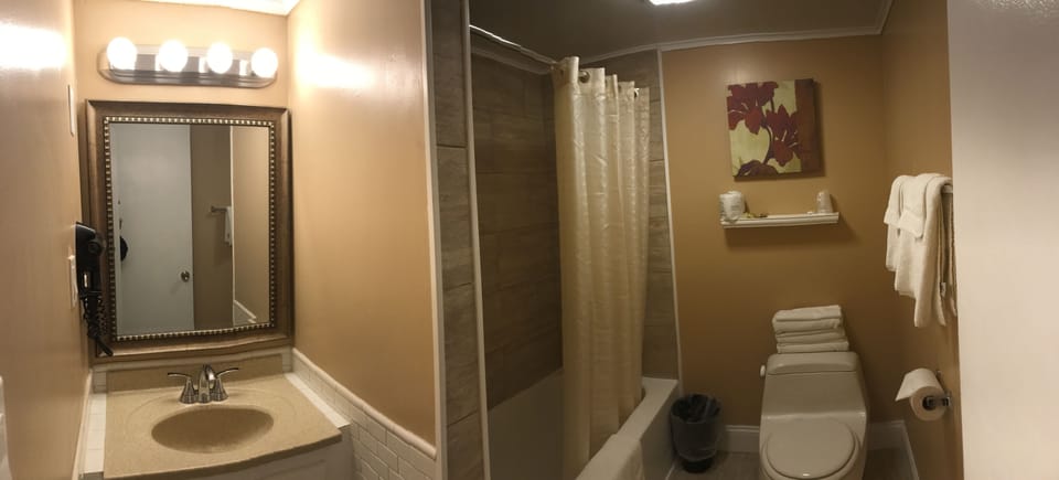 Family Suite | Bathroom amenities | Combined shower/tub, hair dryer, towels