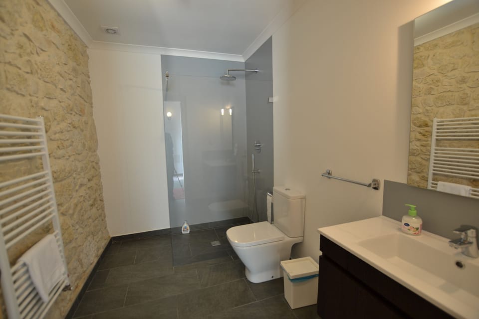 Double or Twin Room | Bathroom | Shower, free toiletries, hair dryer, towels