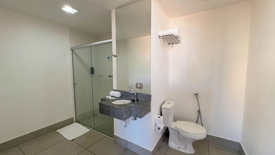 Shower, towels, toilet paper