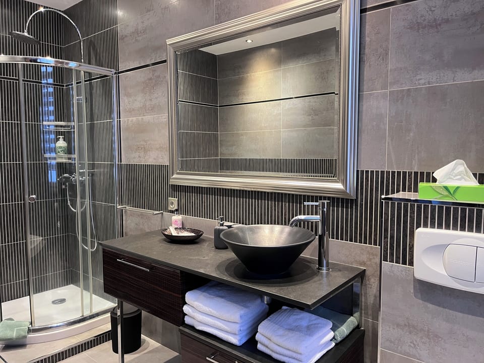 Suite Premier | Bathroom | Free toiletries, hair dryer, bathrobes, towels