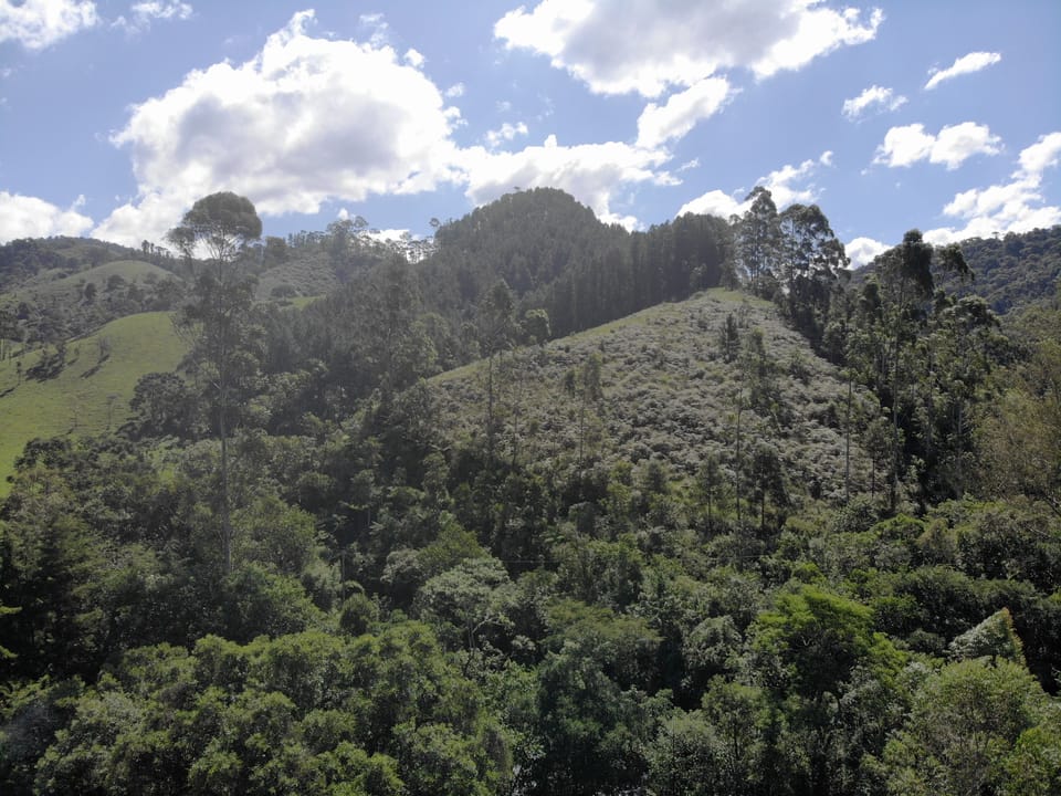 Mountain view