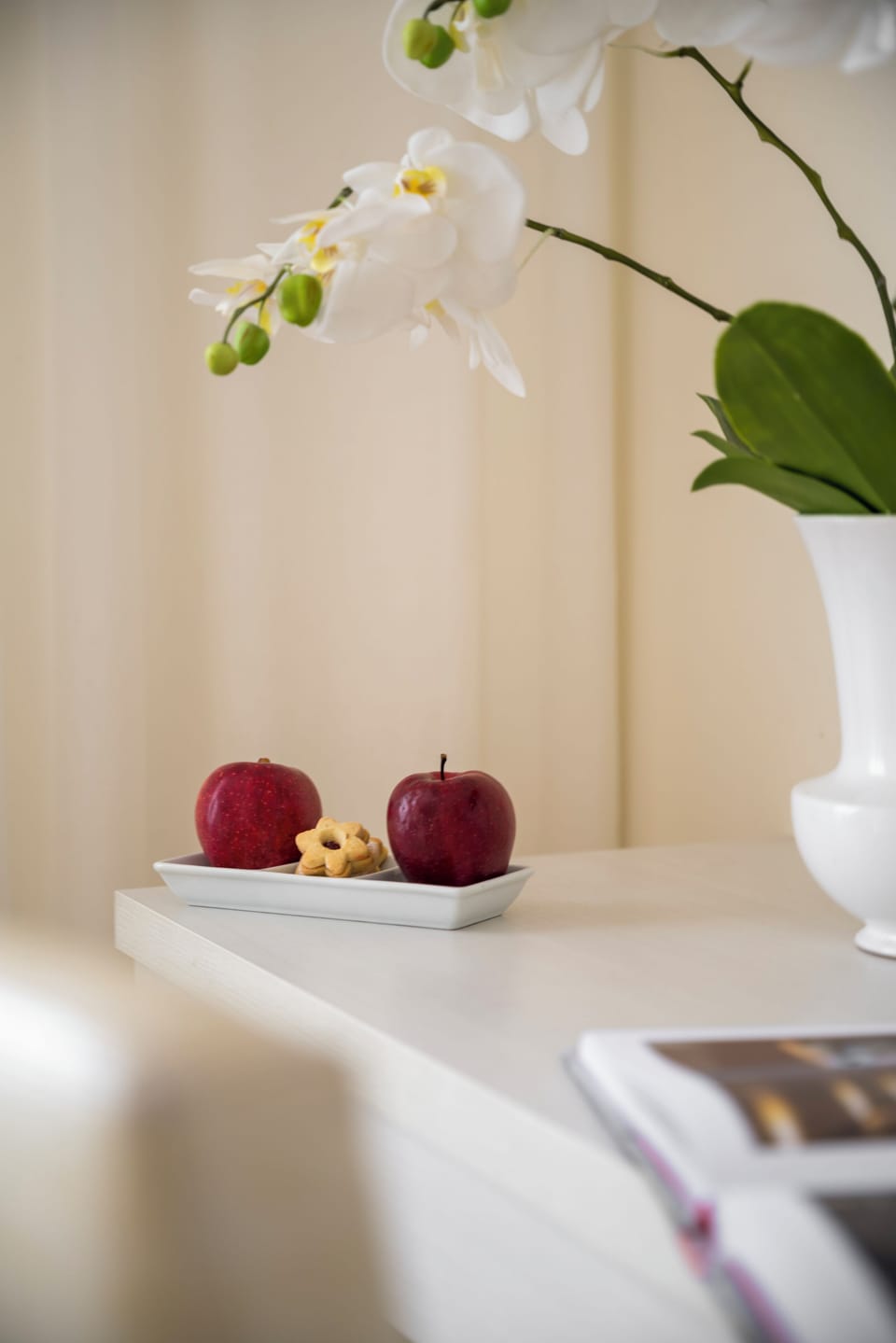 Classic Single Room | Room amenity