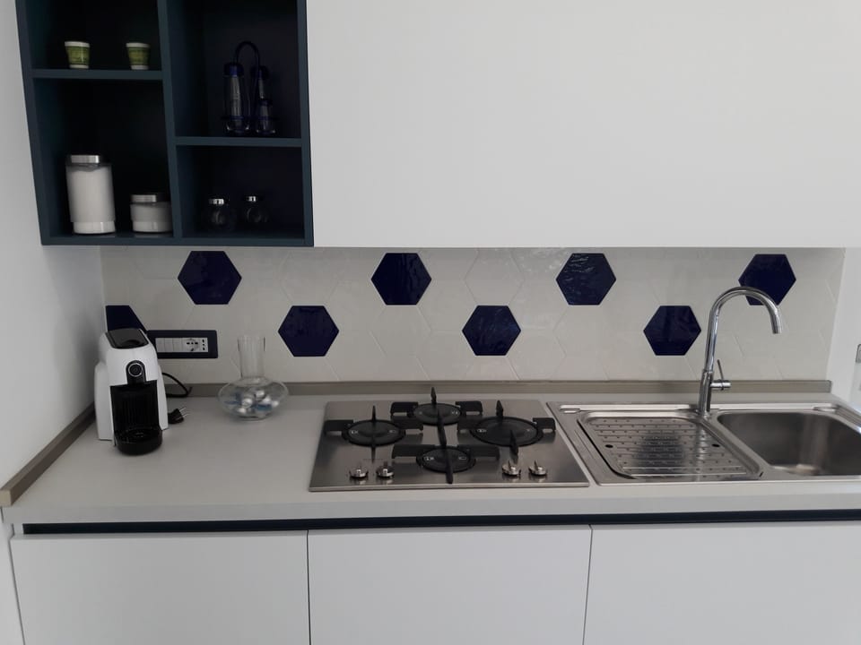La Lobra Dependance  | Private kitchen | Griddle, cleaning supplies, paper towels