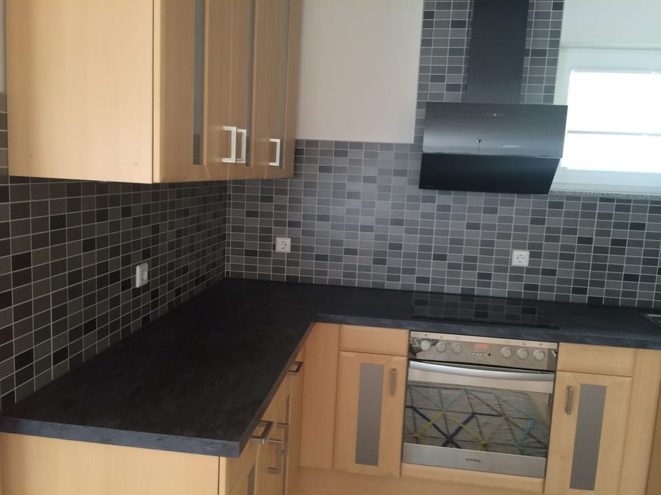 Apartment, Kitchen | Private kitchen | Fridge, oven, stovetop, dishwasher